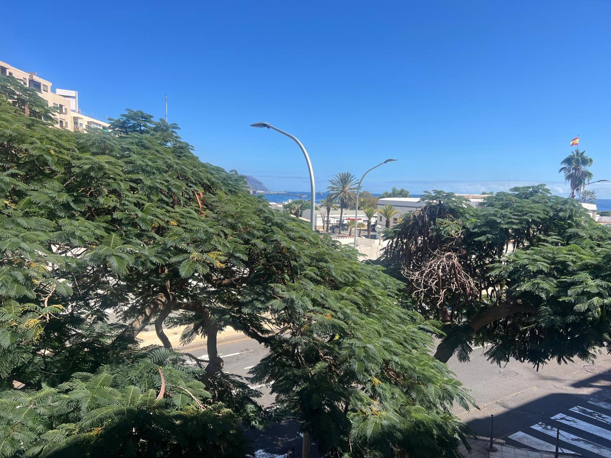Santa Cruz De Tenerife Toscal Dış mekan fotoğraf